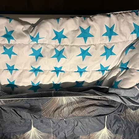 L'oasis Mezoise Mèze